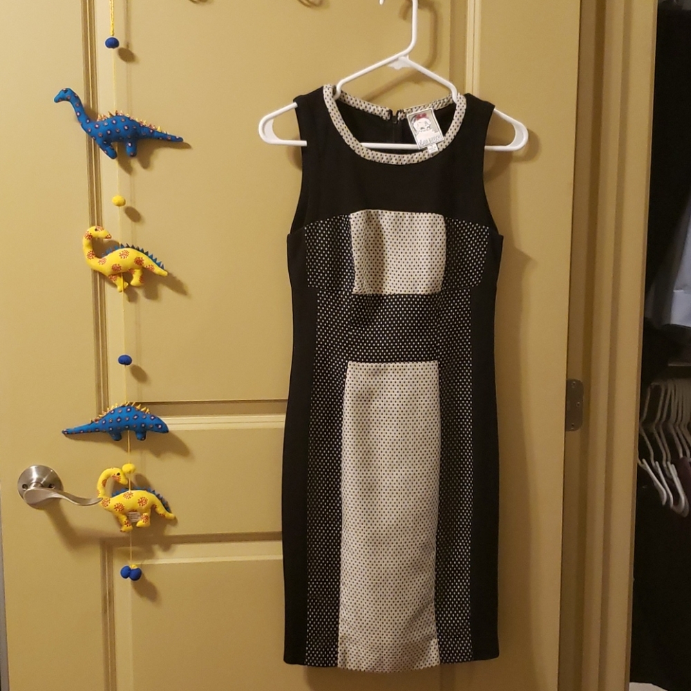 Yoana Baraschi Anthropologie Polka Dot Dress
